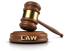 DEFENSA JUDICIAL
